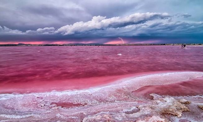 A különleges rózsaszín tó nem csak a turistákat vonzza Spanyolországba img